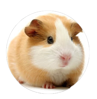 ChirstopheFUFU